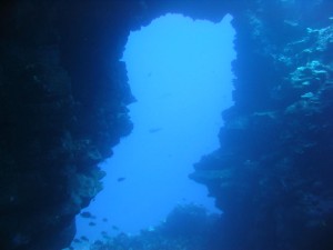 IMG_4036