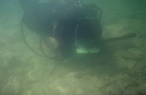 vernon-1