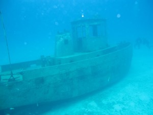 IMG_0688