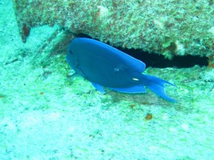 IMG_0766
