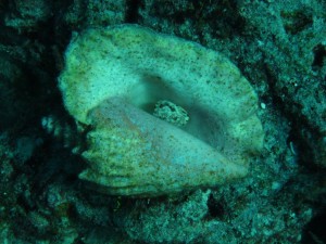 IMG_0812