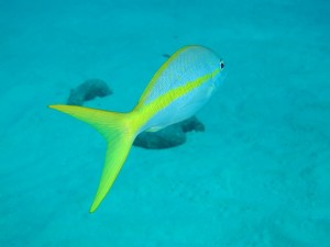 IMG_0817
