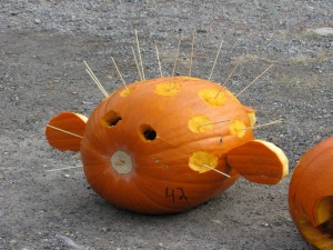 Pumpkin Carving 2009 097