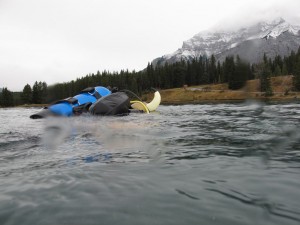 IMG_2290