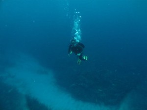 BDS Dive's 006