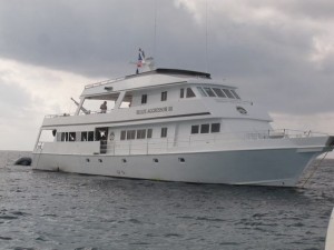 Frenchie's Dive 3 051