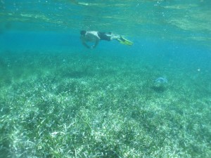 Snorkeling 037
