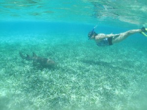 Snorkeling 077