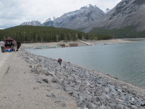 IMG_3713